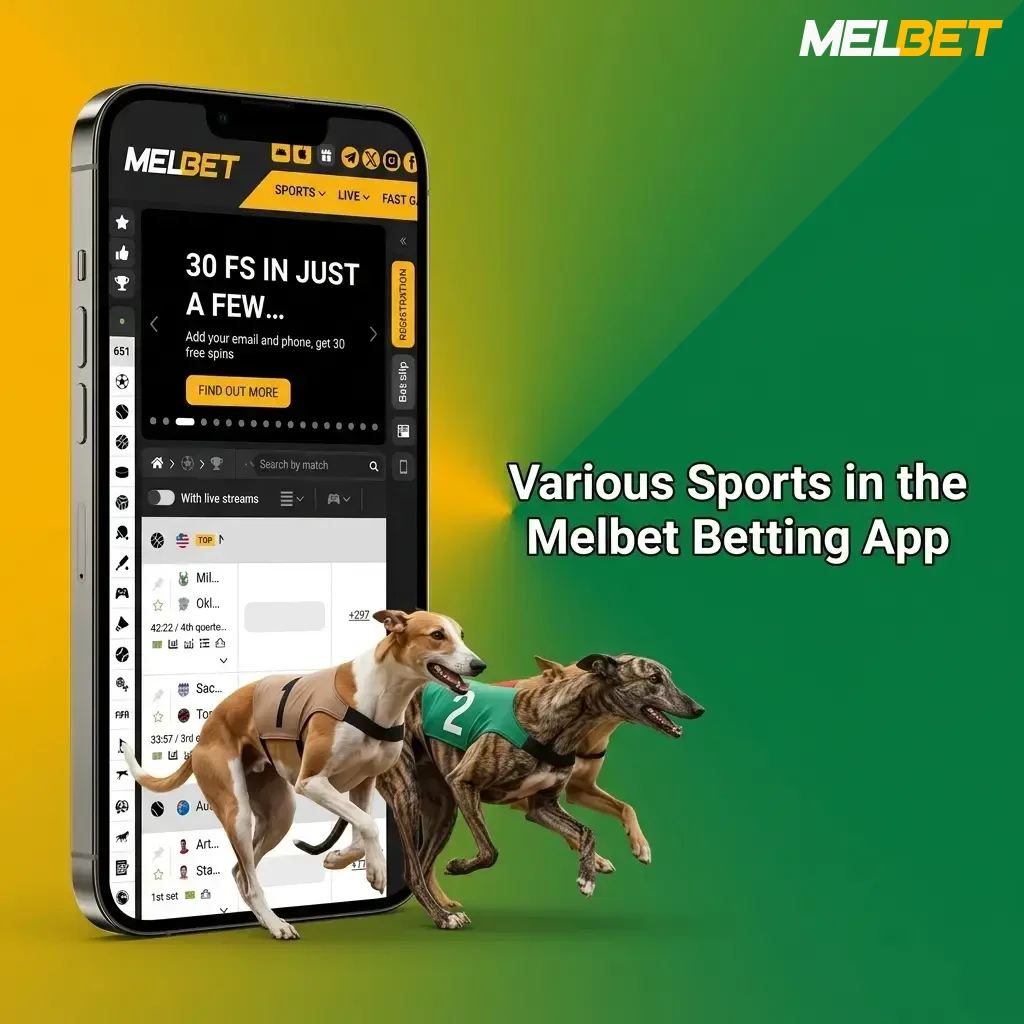 Melbet betting app sports selection including cricket, football, kabaddi, tennis, basketball, MMA, and eSports disciplines